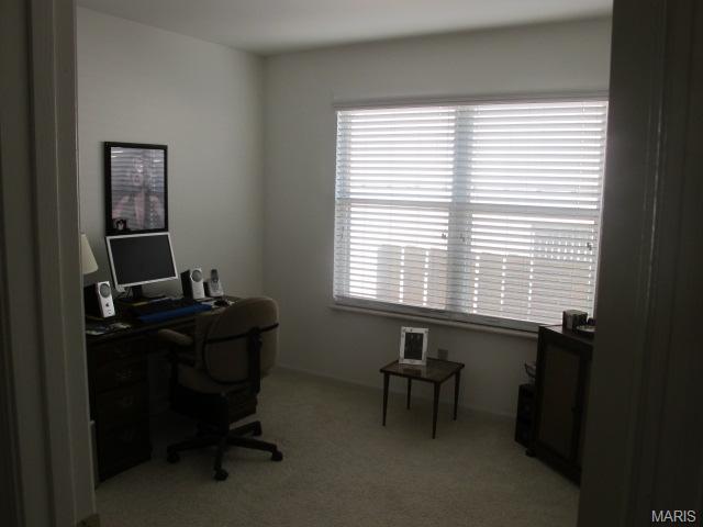 558 Spring Gln, Ballwin, MO 63021 photo 10