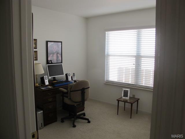 558 Spring Gln, Ballwin, MO 63021 photo 11