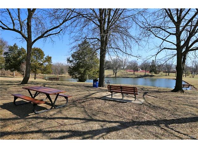43 Chip Dr, O'fallon, MO 63366 photo 23
