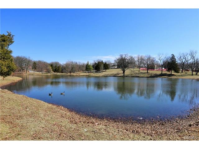 43 Chip Dr, O'fallon, MO 63366 photo 24