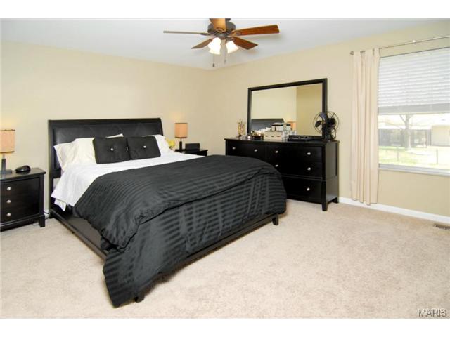 384 Walnut Point Ct, Ballwin, MO 63021 photo 8