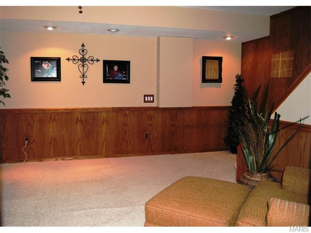 657 Hill Dr, Eureka, MO 63025 photo 48