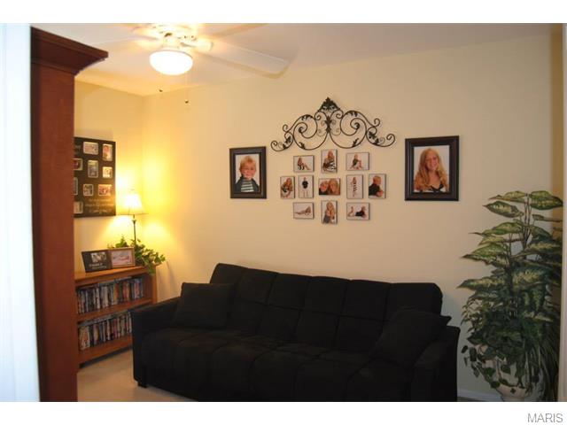 657 Hill Dr, Eureka, MO 63025 photo 43