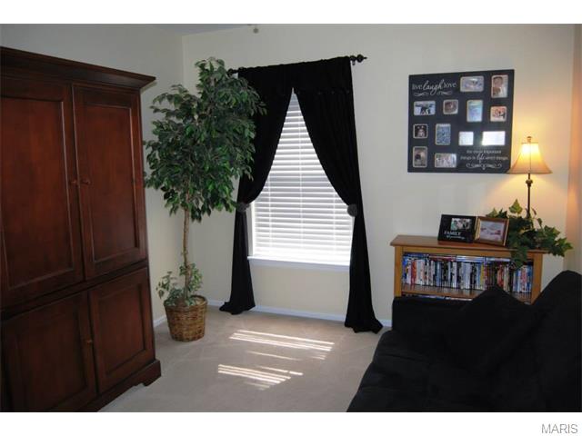 657 Hill Dr, Eureka, MO 63025 photo 44