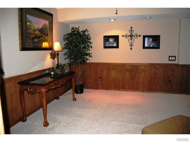 657 Hill Dr, Eureka, MO 63025 photo 47