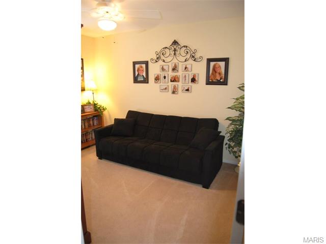 657 Hill Dr, Eureka, MO 63025 photo 45