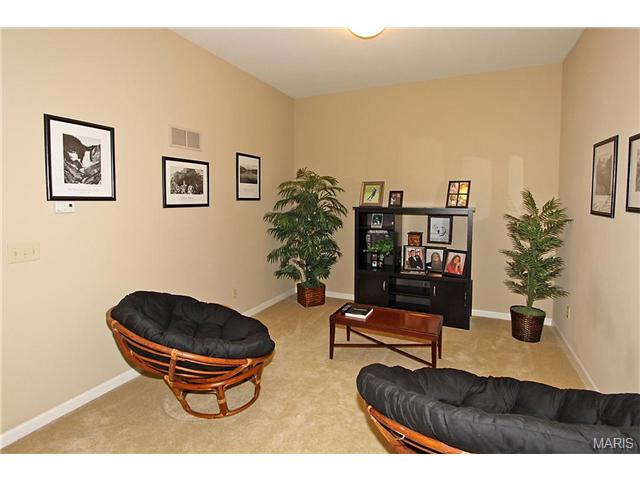 111 Cloverleaf Mdws, O'fallon, MO 63366 photo 24