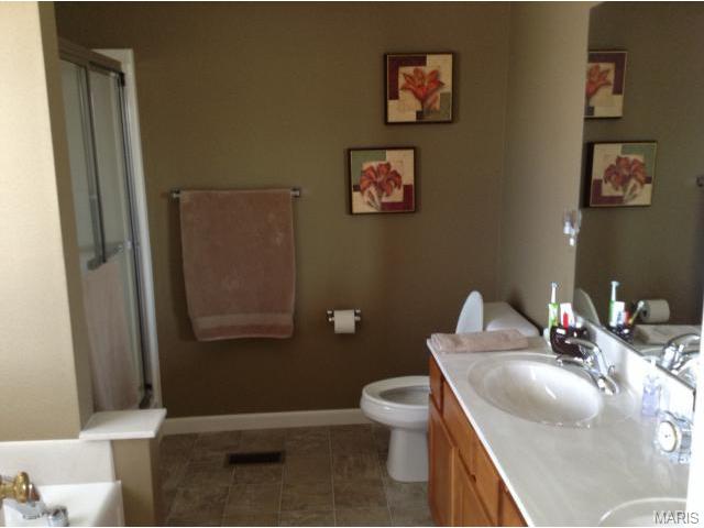 1233 Cold Spring Dr, O'fallon, MO 63368 photo 8