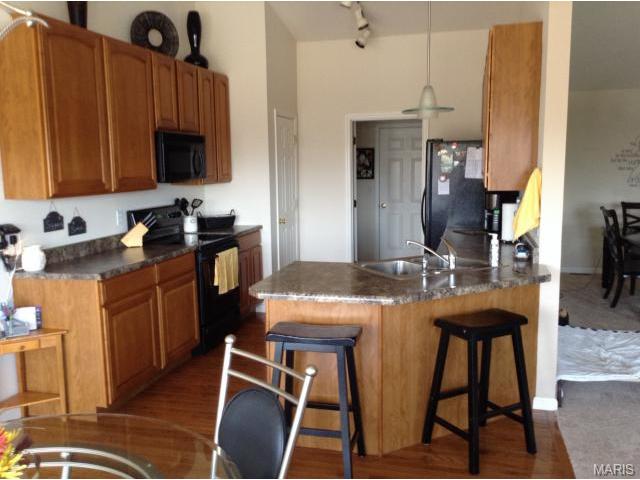 1233 Cold Spring Dr, O'fallon, MO 63368 photo 4
