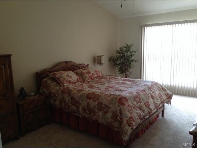 1233 Cold Spring Dr, O'fallon, MO 63368 photo 7