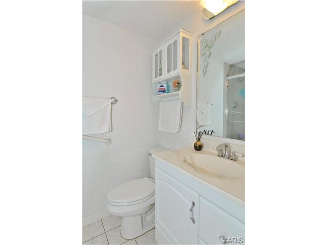 848 Lilybud Ct, Ballwin, MO 63011 photo 12