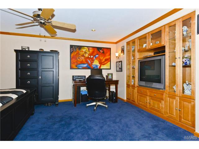 848 Lilybud Ct, Ballwin, MO 63011 photo 24