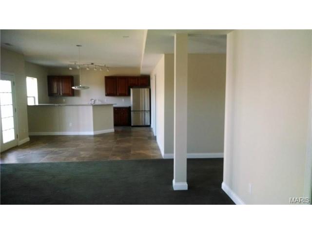 507 Lake Dr, O'fallon, MO 63366 photo 23