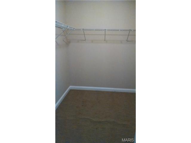 507 Lake Dr, O'fallon, MO 63366 photo 15
