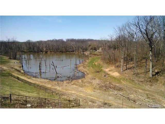 507 Lake Dr, O'fallon, MO 63366 photo 26