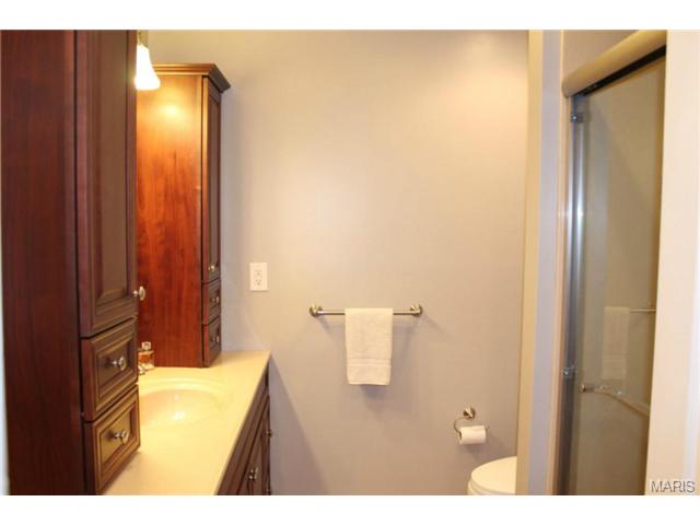 213 Wildbrier Dr, Ballwin, MO 63011 photo 15