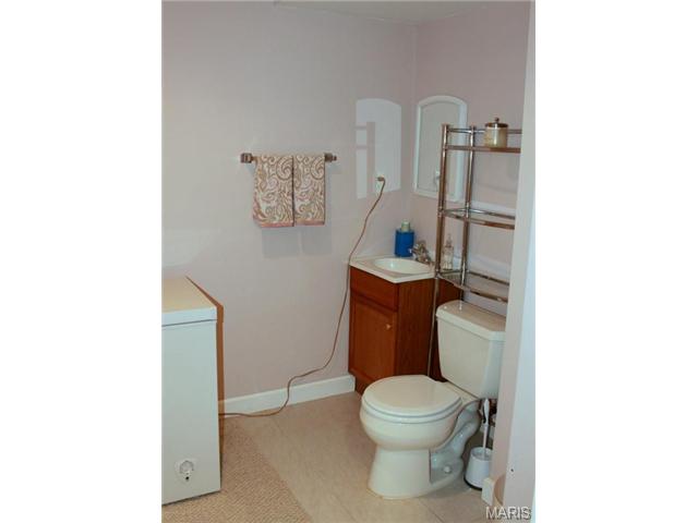 6910 Brassel Dr, O'fallon, MO 63368 photo 37