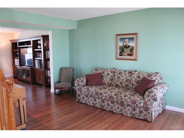 6910 Brassel Dr, O'fallon, MO 63368 photo 10
