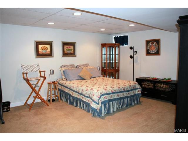 6910 Brassel Dr, O'fallon, MO 63368 photo 33