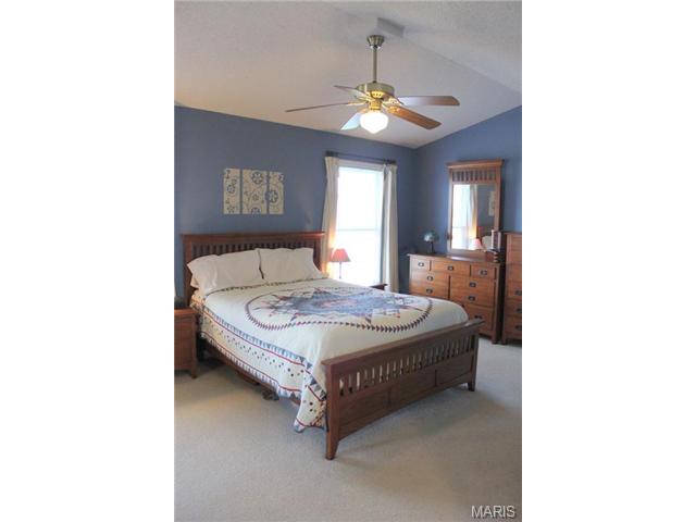 6910 Brassel Dr, O'fallon, MO 63368 photo 21