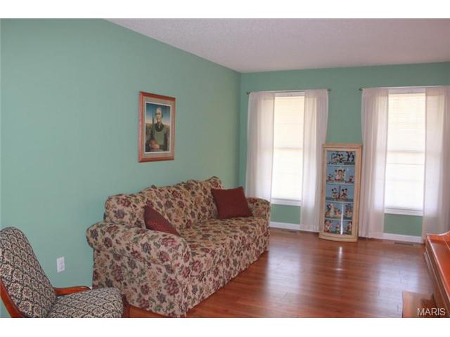 6910 Brassel Dr, O'fallon, MO 63368 photo 11