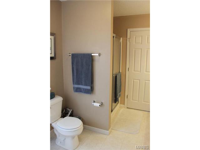 6910 Brassel Dr, O'fallon, MO 63368 photo 25