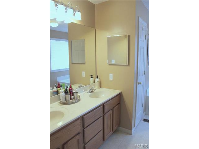 6910 Brassel Dr, O'fallon, MO 63368 photo 23