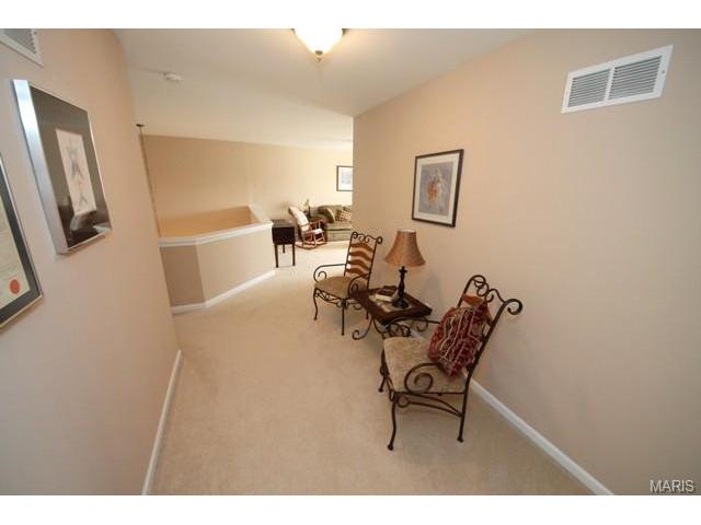 6 Eagle Bluff Ln, Saint Charles, MO 63303 photo 21