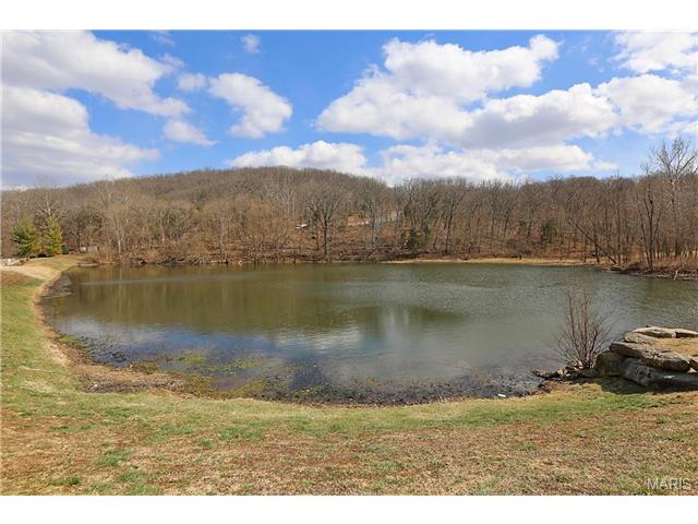 888 Gandolf Way, Eureka, MO 63025 photo 24