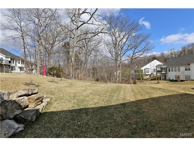 888 Gandolf Way, Eureka, MO 63025 photo 21