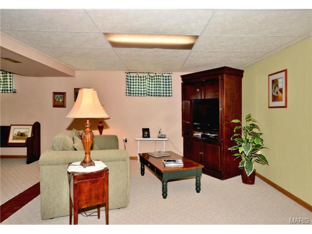 121 Hickory Hl, Eureka, MO 63025 photo 14