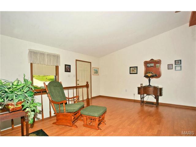 121 Hickory Hl, Eureka, MO 63025 photo 3