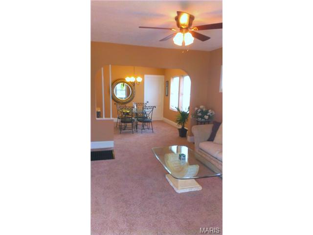 210 W Loretta Ave, Lemay, MO 63125 photo 6