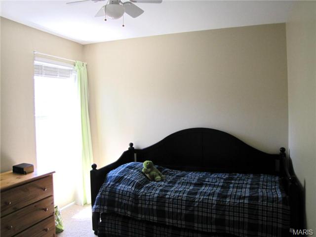 182 Cascade Terrace Dr, Ballwin, MO 63021 photo 20
