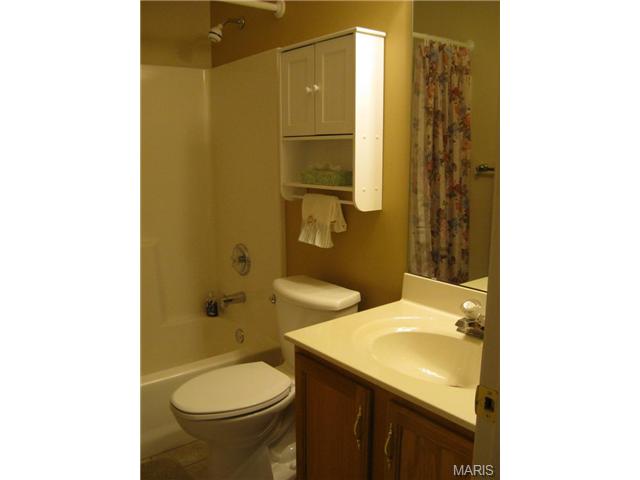 204 Kildare Ct, O'fallon, MO 63366 photo 18