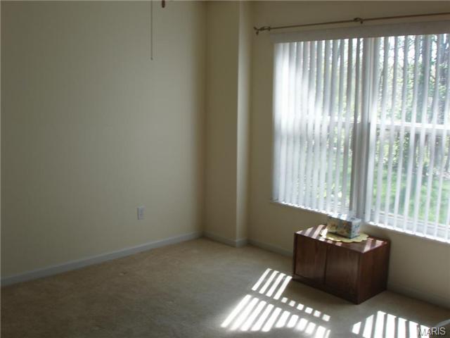 204 Kildare Ct, O'fallon, MO 63366 photo 20