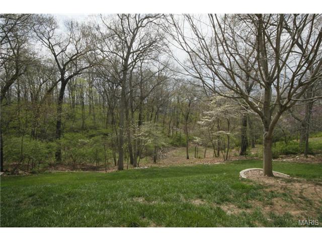 1610 Strecker Woods, Wildwood, MO 63011 photo 21