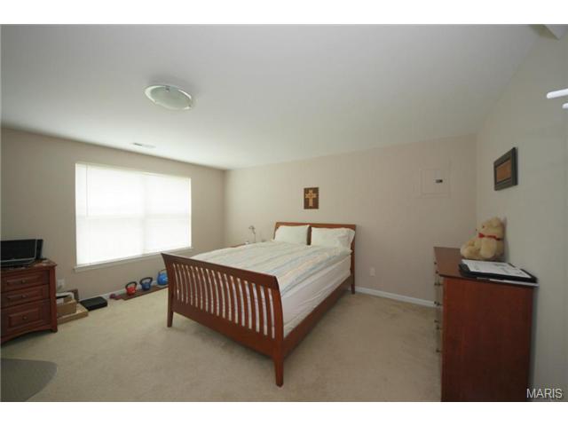 1610 Strecker Woods, Wildwood, MO 63011 photo 20
