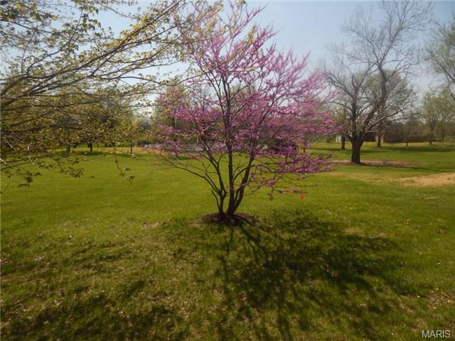 30 Dutchman Ln, Weldon Spring, MO 63304 photo 33