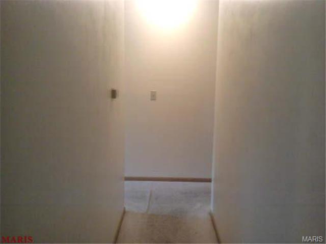 6307 Dardanella Ave, Pine Lawn, MO 63121 photo 26