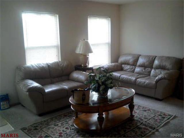 6307 Dardanella Ave, Pine Lawn, MO 63121 photo 28