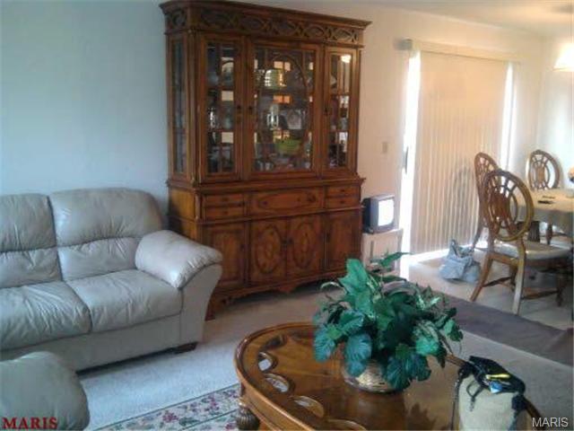 6307 Dardanella Ave, Pine Lawn, MO 63121 photo 27