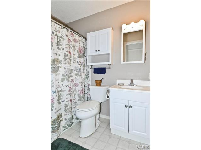 2 Savant Ct, Ballwin, MO 63011 photo 22