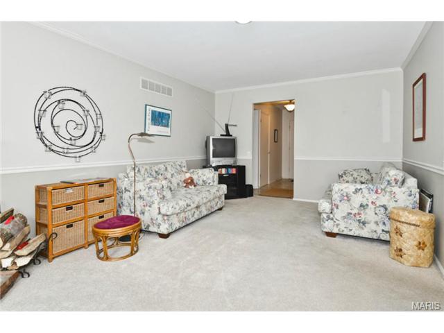 2 Savant Ct, Ballwin, MO 63011 photo 12