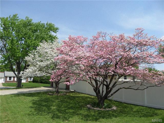 802 Longview Dr, Saint Charles, MO 63301 photo 4