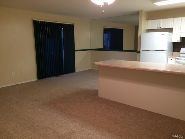6 Megans Ct, O'fallon, MO 63366 photo 15