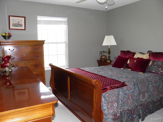 919 Gervas Dr, Ballwin, MO 63021 photo 19