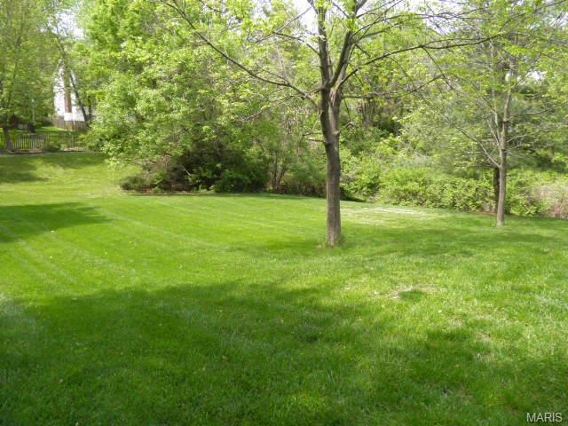 919 Gervas Dr, Ballwin, MO 63021 photo 25