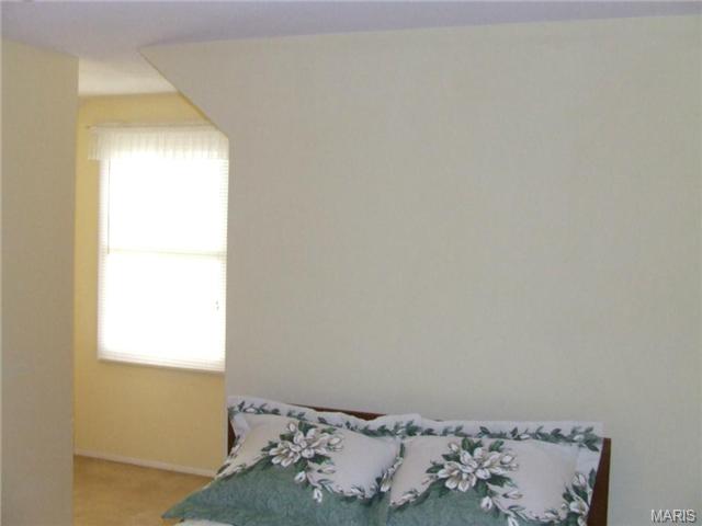 1015 Rose Hl, Ellisville, MO 63021 photo 37