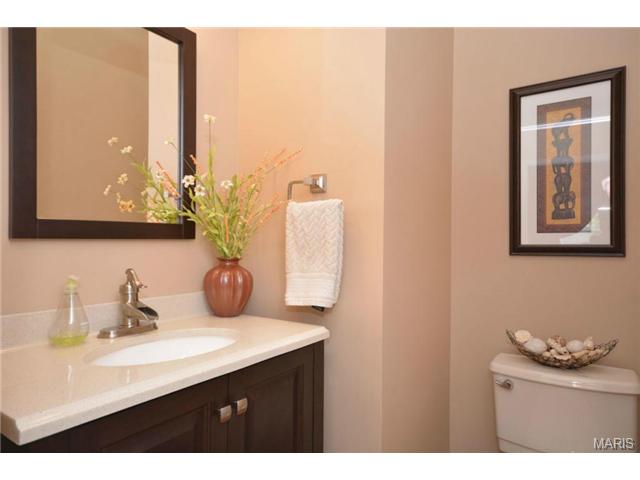 412 Copper Tree Trl, O'fallon, MO 63368 photo 13